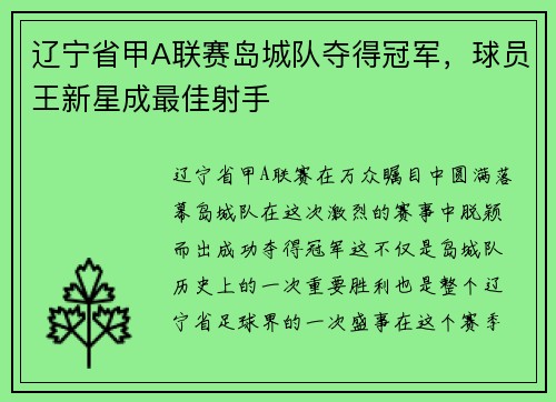 辽宁省甲A联赛岛城队夺得冠军，球员王新星成最佳射手